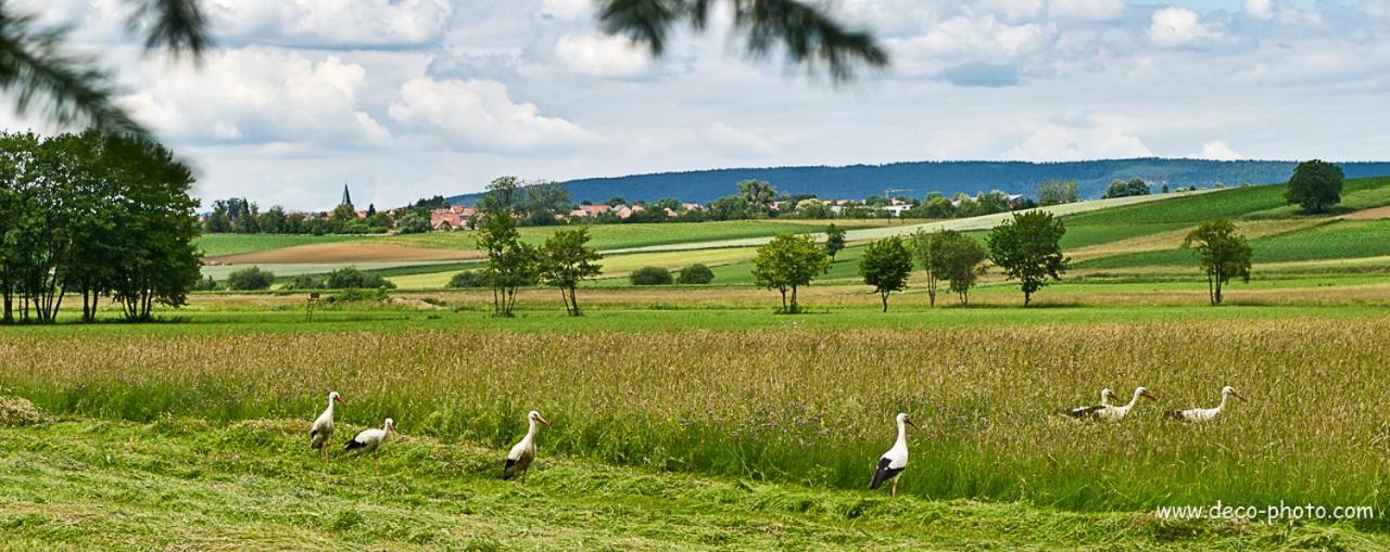 Gite L'Amarante Betschdorf Eksteriør billede