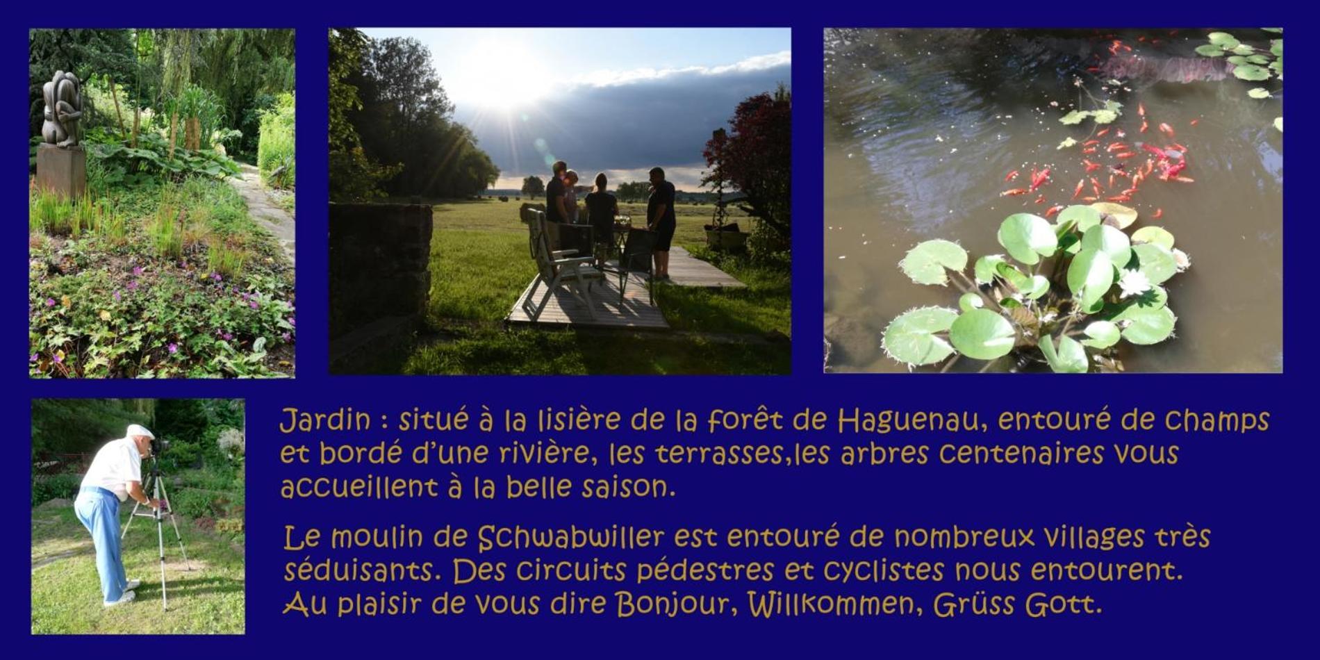 Gite L'Amarante Betschdorf Eksteriør billede